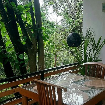 Dhanudi Homestay Ella Exterior photo